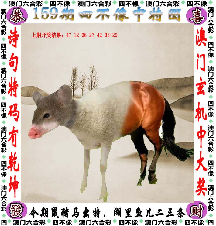 澳门今期的四不像，探索与解读，澳门今期四不像现象，深度探索与解读