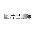 长剑-10巡航导弹单价，深度解析与探讨，长剑-10巡航导弹单价揭秘，深度解析与探讨