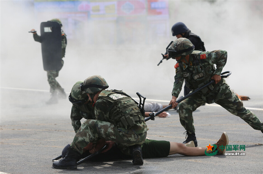 武警与公安的对峙事件，深度解析与反思，武警与公安对峙事件，深度解析与反思