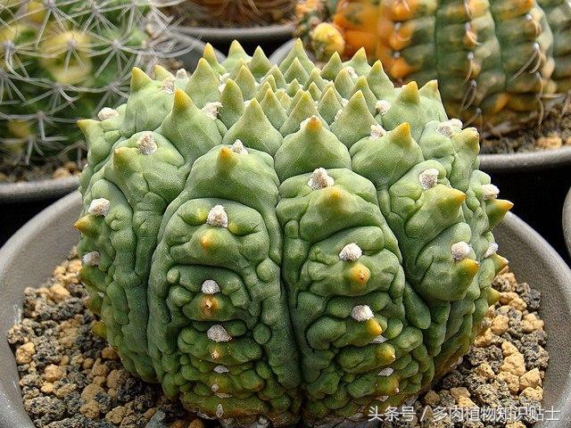 飞机的种类、图片及名称，飞机种类大全，图片与名称一览