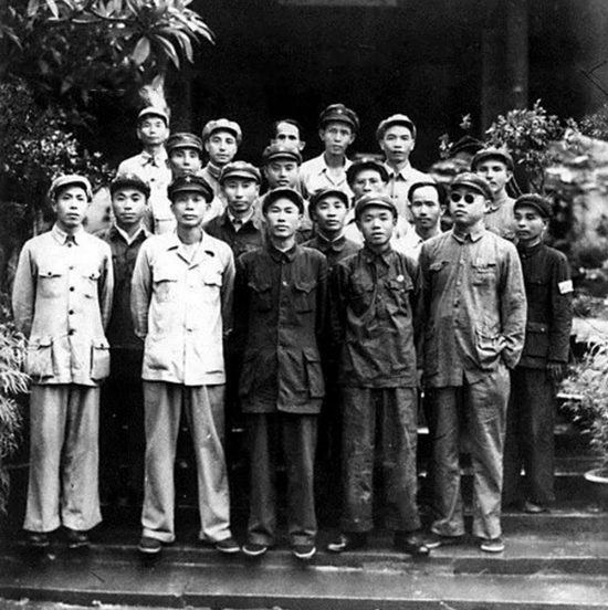 海南岛战役简介及参与几个军的概述，海南岛战役概览，参与军的兵力与战略解析