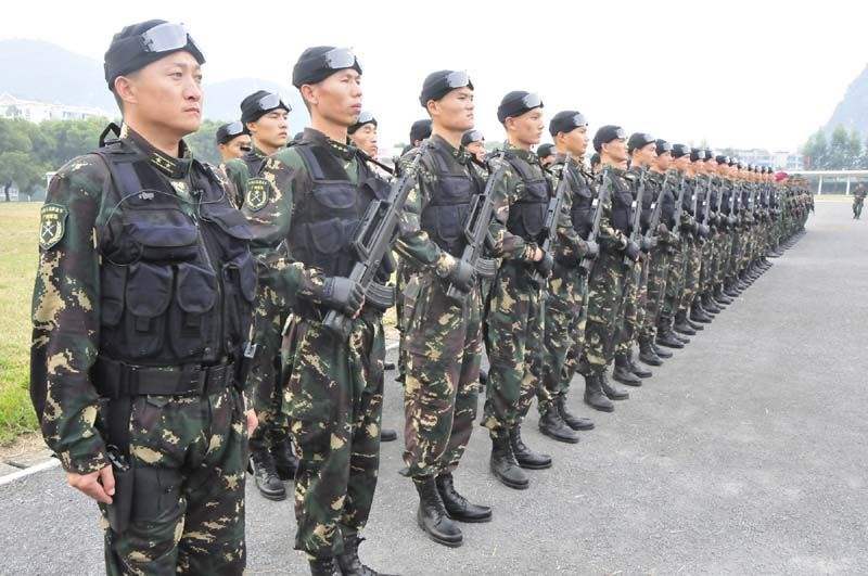 武警与陆军的区别，职责、任务与特点分析，武警与陆军职责、任务与特点深度解析，职责区分与差异分析