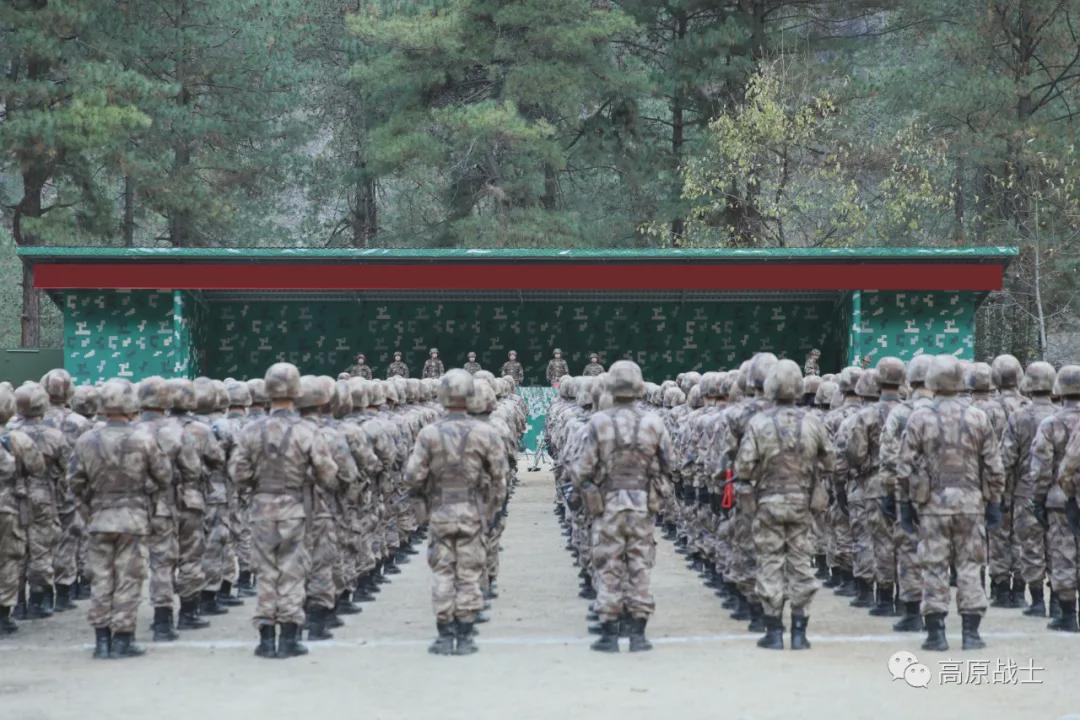 精兵劲旅，塑造卓越团队的力量之源，塑造卓越团队的力量之源，精兵劲旅的力量揭秘
