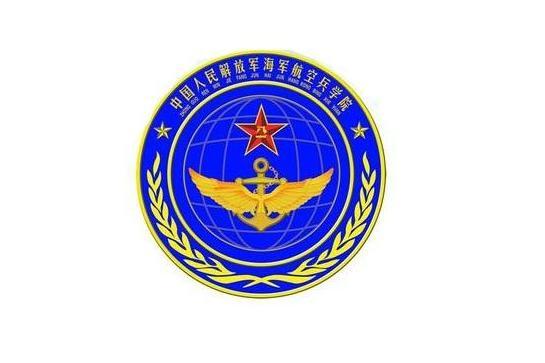 中国人民解放军海军臂章，荣耀与责任的象征，中国人民解放军海军臂章，荣耀与责任的独特标志