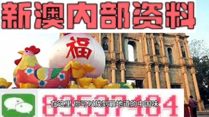 新澳门精准资料大全与管家婆料，探索与解析，澳门精准资料大全与管家婆料，深度探索与解析