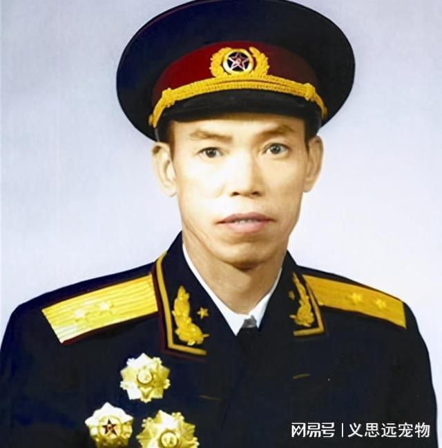 开国上将在军衔中的具体排名，开国上将在军衔中的排名详解