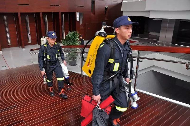 最新动态深度解析