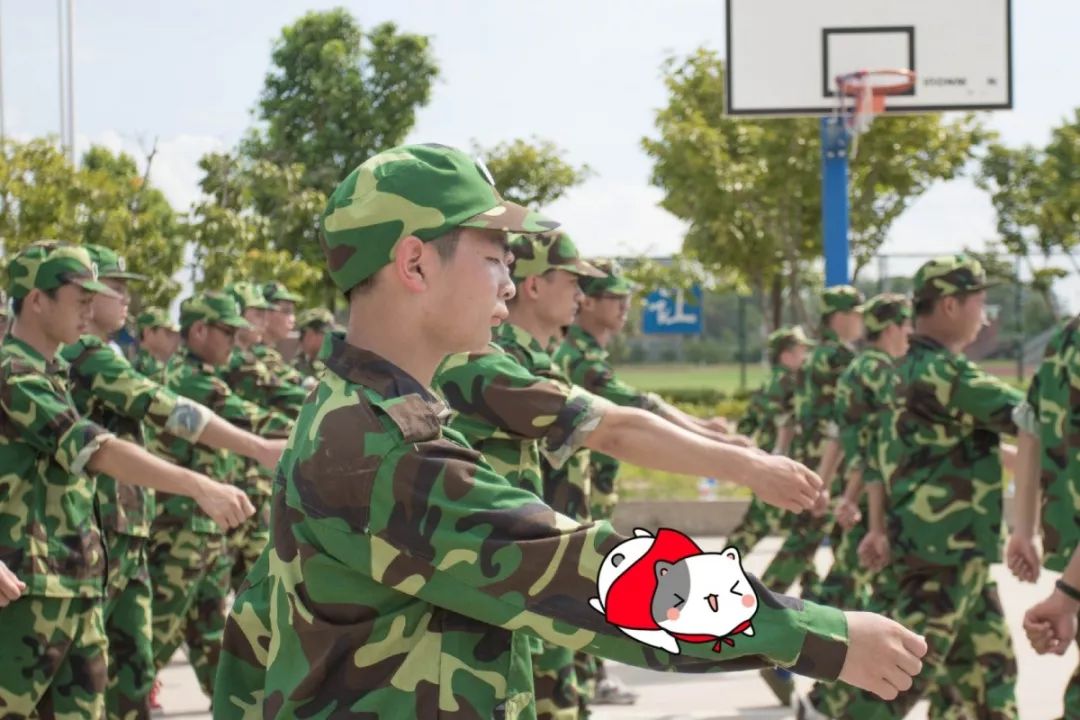 军微壁纸图片的魅力与影响，军微壁纸图片的魅力及其影响力探讨