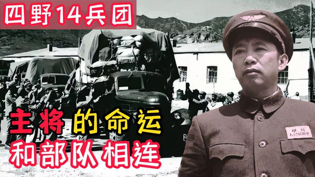 历史变迁与未来展望