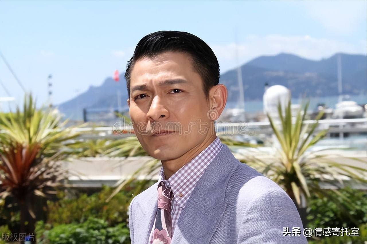 香港王中王一码一肖，揭秘背后的神秘与文化魅力，香港王中王一码一肖，神秘背后的文化魅力揭秘