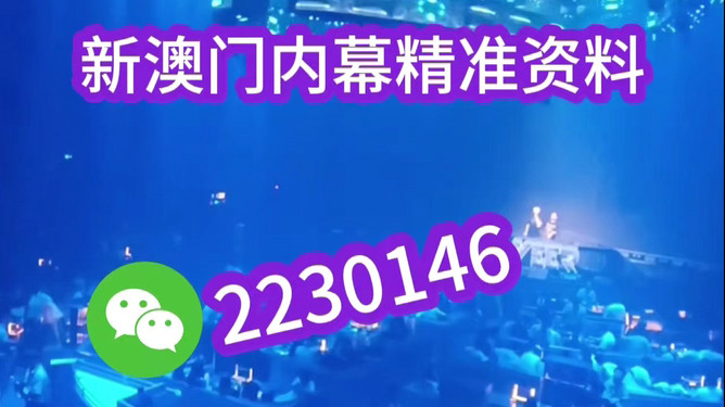 新澳2025今晚资料分析预测，新澳2025今晚资料分析与预测报告