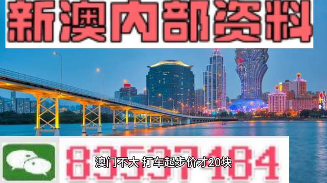 澳门金牛版免费资料网澳，探索与解析，澳门金牛版资料探索与解析