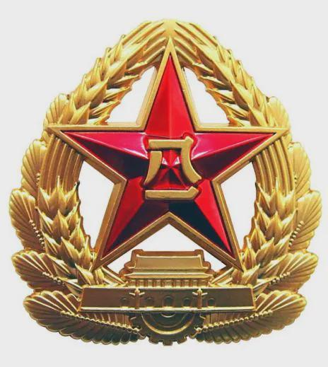 中国人民解放军军旗上的八一代表，荣耀与使命的象征，中国人民解放军军旗上的八一，荣耀与使命的象征