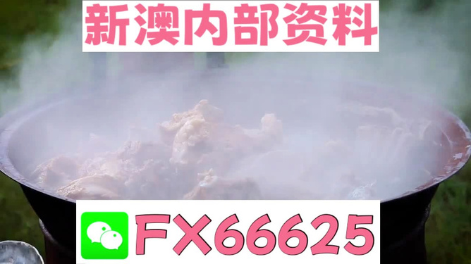 探索新澳正版资料的世界，免费提供的力量与价值，探索新澳正版资料世界，免费提供的力量与价值揭秘