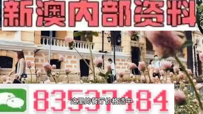 新澳门精准资料大全与管家婆料，探索现代博彩信息世界的宝藏，现代博彩信息宝库，新澳门精准资料与管家婆料大全