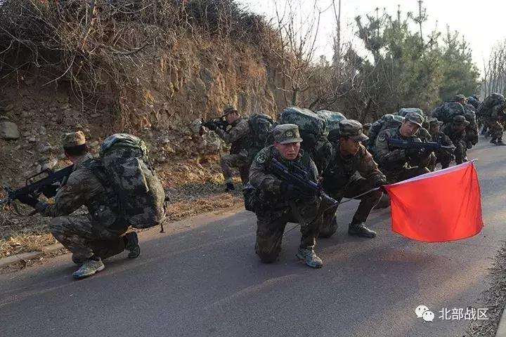 关于80集团陆军各旅的分布研究，80集团陆军各旅分布研究解析