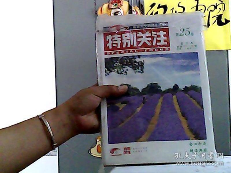 探索未知领域，揭秘第143期王中王平特一肖，揭秘第143期王中王平特一肖，未知领域的探索之旅