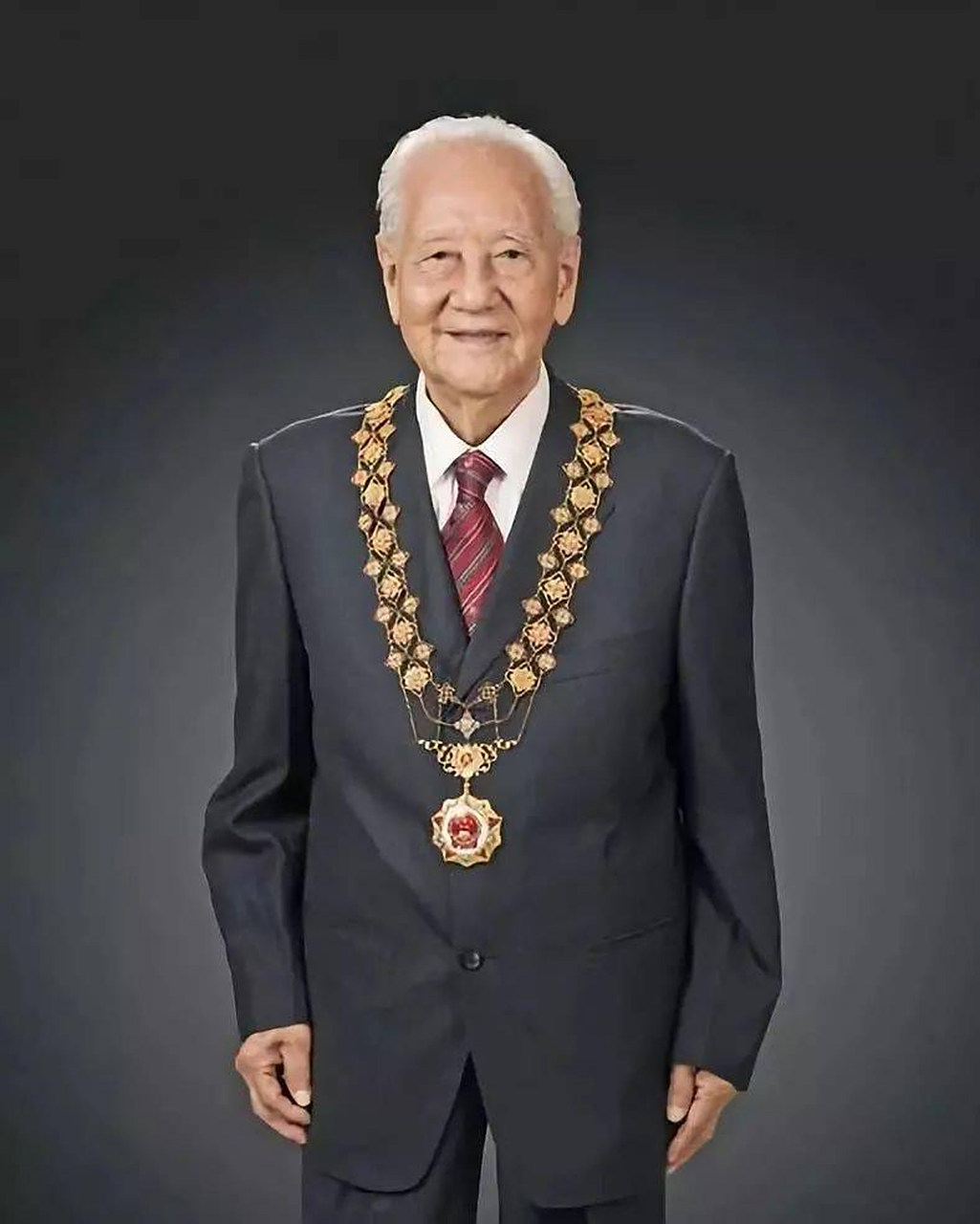 共和国勋章获得者，八位闪耀的明星，共和国勋章获得者，八位明星的闪耀之路