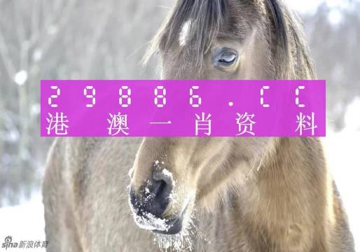 澳门一肖一码，揭秘预测准确性的神秘面纱，澳门一肖一码揭秘，预测准确性的神秘面纱下探真相