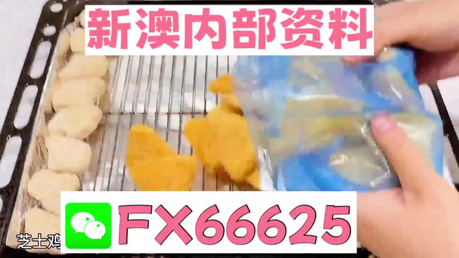 新奥长期免费资料大全，深度探索与实际应用，新奥长期免费资料大全，深度探索与实战应用指南