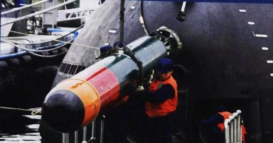 中国鱼-10鱼雷数据研究，中国鱼-10鱼雷数据深度研究分析