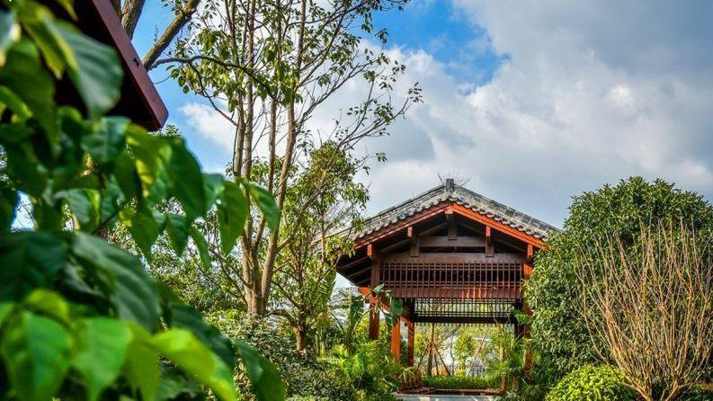 泉州旅游攻略，探索古韵之城，泉州旅游攻略，探索千年古韵之城