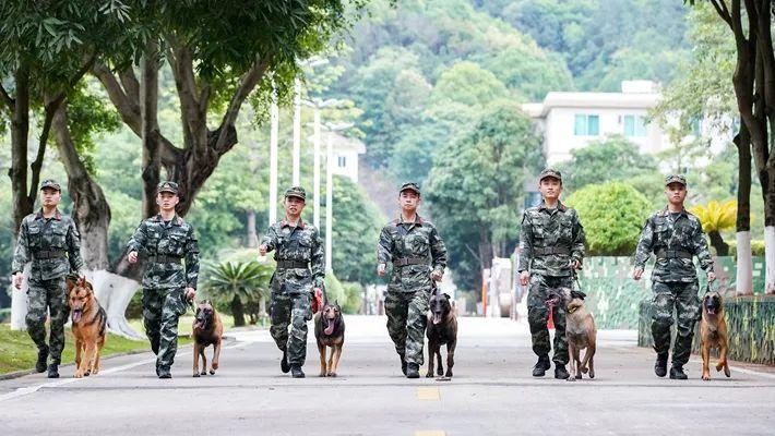 南部战区实力深度解析，南部战区实力全面深度解析