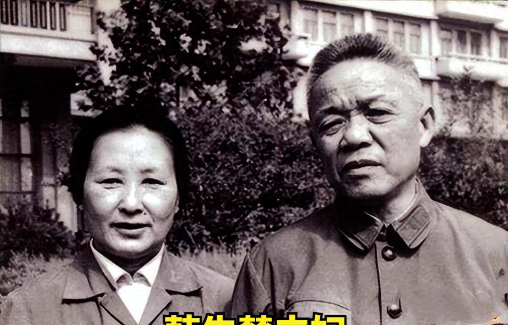 海南岛战役，我军历史上规模最大的渡海登陆作战，海南岛战役，我军史上最大渡海登陆作战揭秘