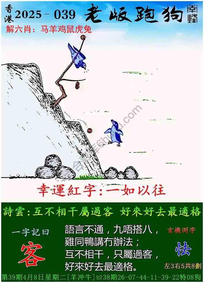 王中王跑狗图一肖中特，探索神秘领域的独特魅力，探索跑狗图领域，王中王一肖中特的神秘魅力