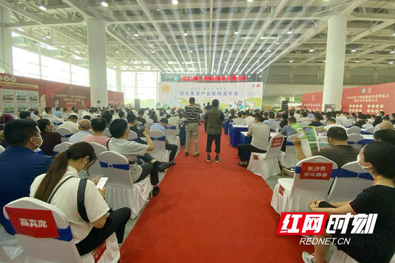 国际时事新闻2022年最新报道——九月的全球焦点，全球时事热点回顾，九月最新国际新闻报告 2022