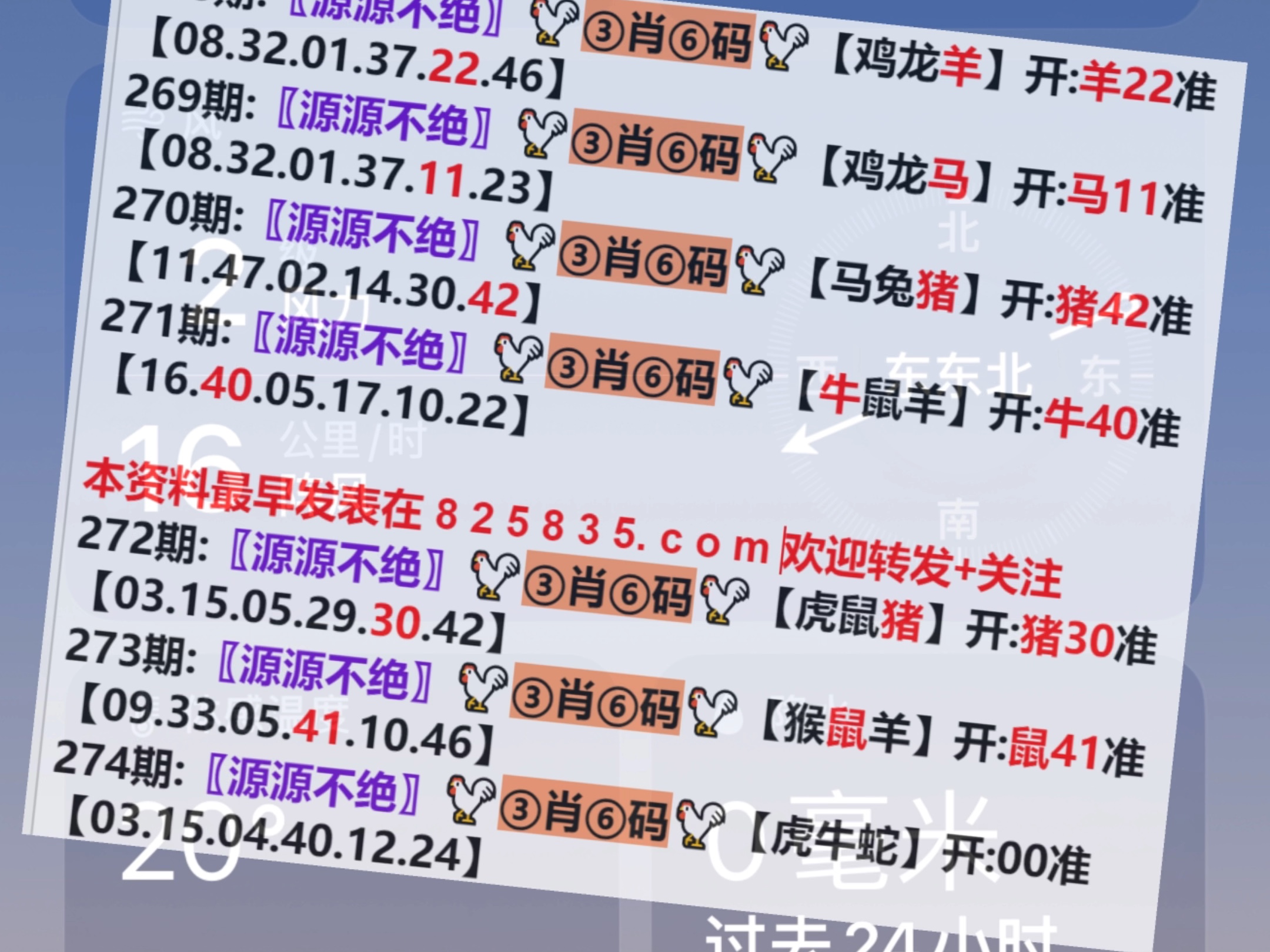 一肖一码澳门开奖结果，探索与解析，澳门开奖结果解析，一肖一码探索揭秘