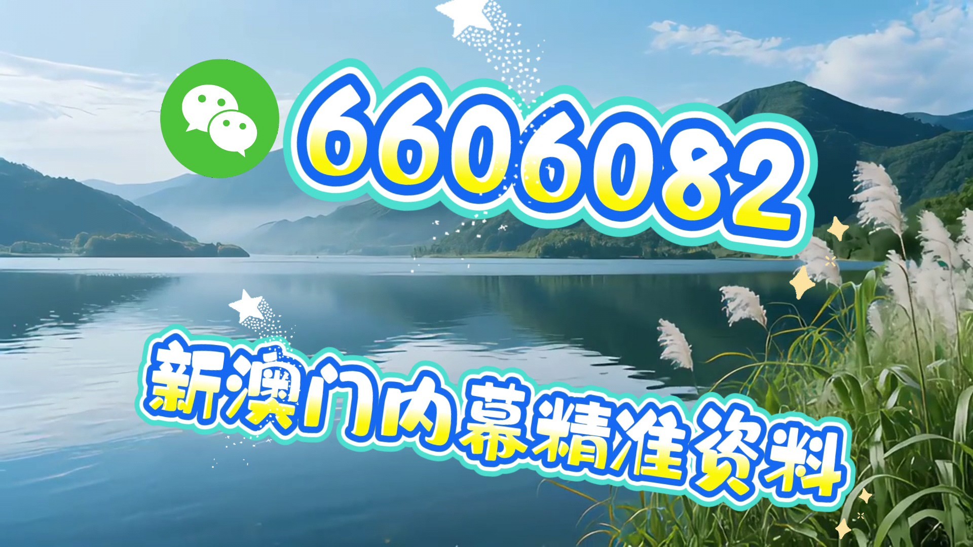 揭秘彩票背后的秘密，最准一肖一码一一中一特，揭秘彩票背后的秘密，精准预测一肖一码，中奖秘诀大揭秘