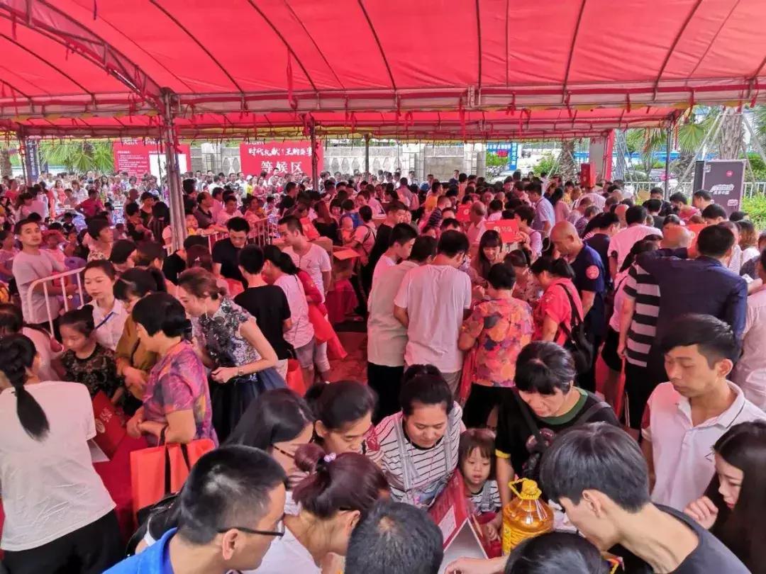 预测魅力与精准度探索