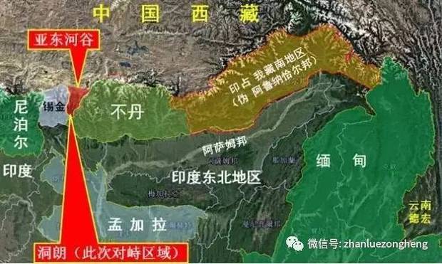 分析/解析