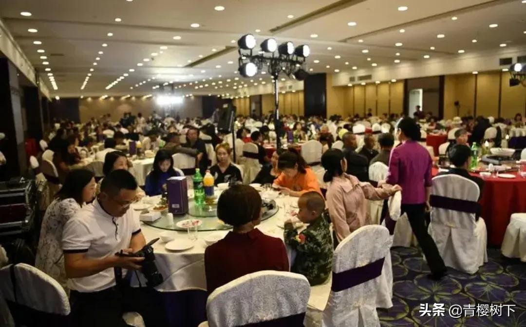 真相与启示探究
