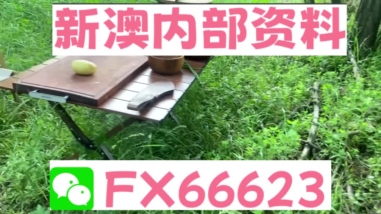新澳六叔精准资料大全，探索与解析，新澳六叔精准资料大全，深度探索与全面解析