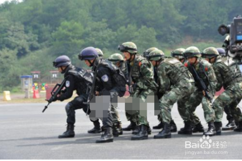 关于北京武警特警与38集团军协同作战的探讨，北京武警特警与38集团军协同作战策略探讨