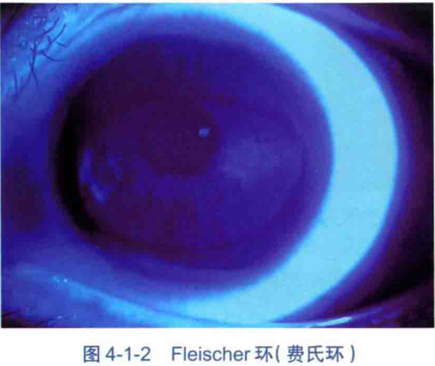Gardner环，探索与应用，Gardner环，深入探索与实际应用