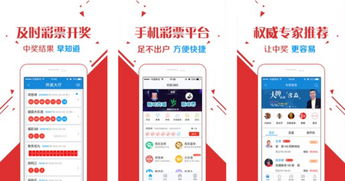 王中王玄机一肖资料深度解析，王中王玄机一肖资料深度剖析