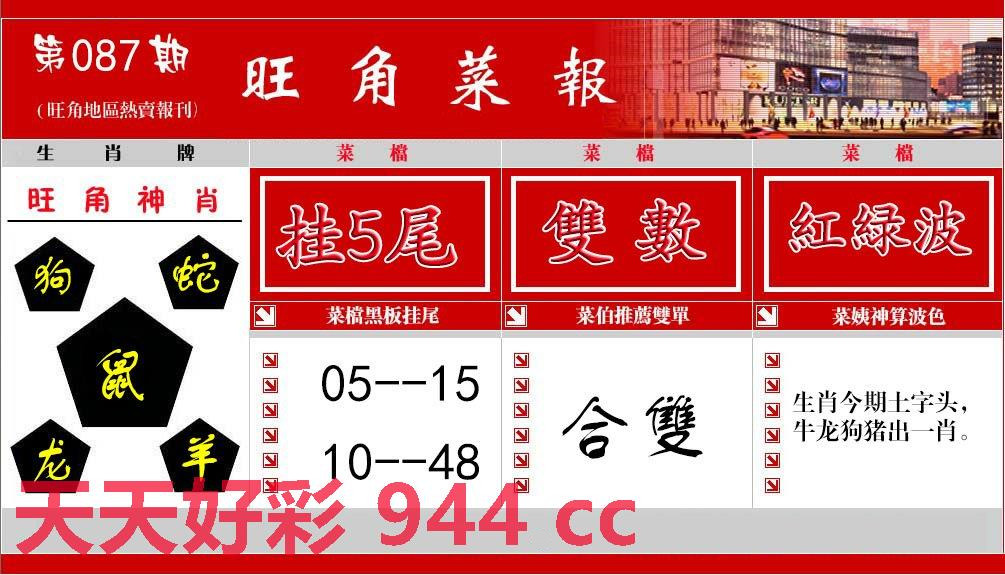 预测报告