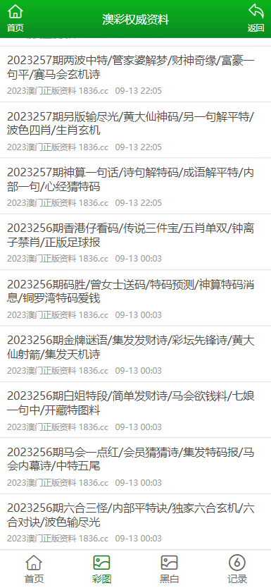 澳门资料大全正版资料查询器，探索澳门的历史、文化、旅游与经济，澳门历史、文化、旅游与经济大全，正版资料查询器探索之旅