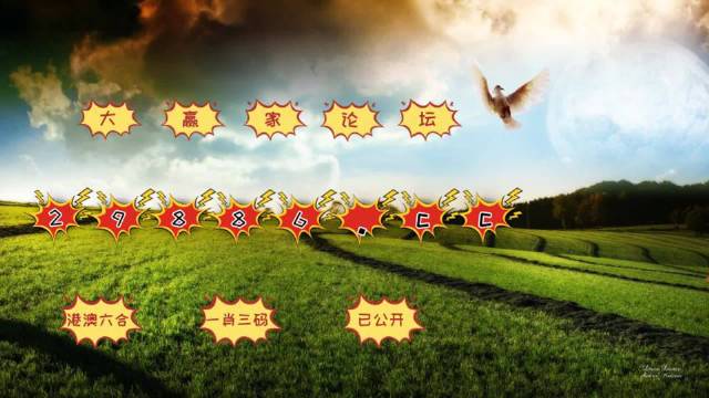 澳门最快开奖9494免费资料网，探索与解析，澳门最快开奖9494免费资料网，深度探索与解析