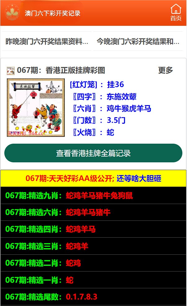 探索澳门彩票文化，新澳门天天开好彩的奥秘与魅力，澳门彩票文化深度探索，天天开好彩的奥秘与魅力