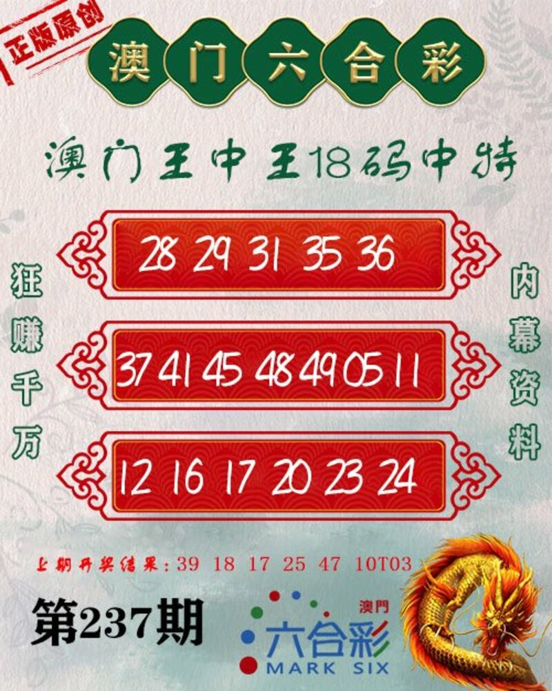 新澳门单双王，探索与解析，澳门单双王，深度探索与解析