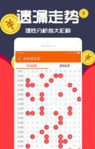 闪耀2018，王中王一肖的辉煌篇章，闪耀2018，王中王一肖的辉煌岁月