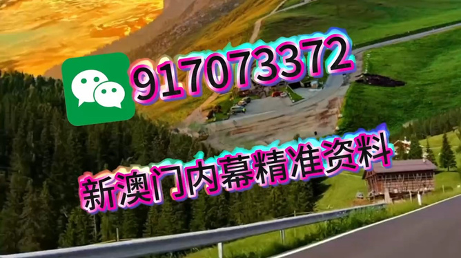 特马王中王肖一马，探寻神秘力量的背后，特马王中王肖一马，神秘力量背后的探寻