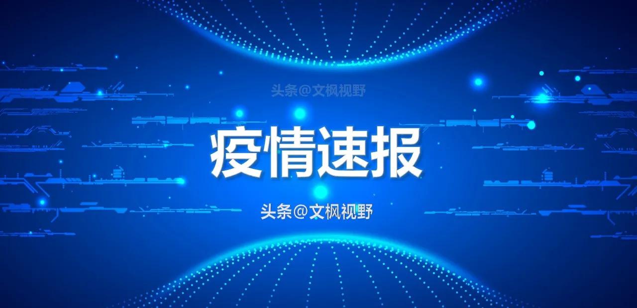 最新消息关于肺炎疫情的发展及其影响，肺炎疫情最新动态及其广泛影响概述