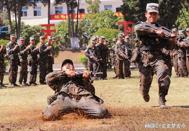 陆军十四军四十二师，历史与荣耀的见证，陆军十四军四十二师，历史荣耀的见证