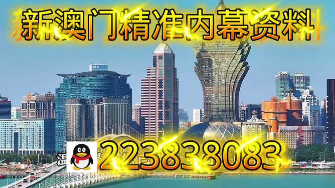 新澳门最快开奖记录，探索与解析，澳门最新开奖记录解析与探索