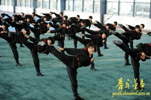 武警特种警察学院所在地，探寻培养特种精英的摇篮，武警特种警察学院，特种精英摇篮的所在地